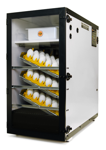 Egg Incubator